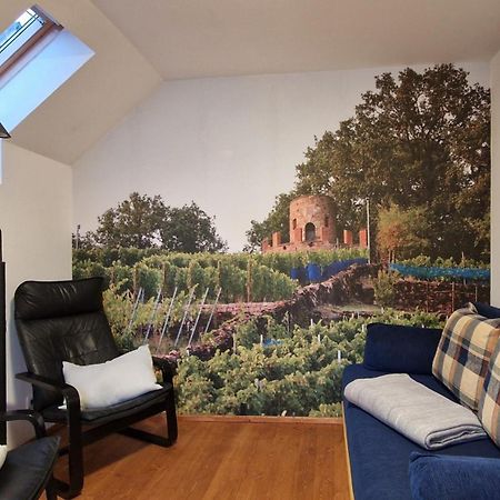 Winzerglueck Apartment Weinböhla Екстериор снимка